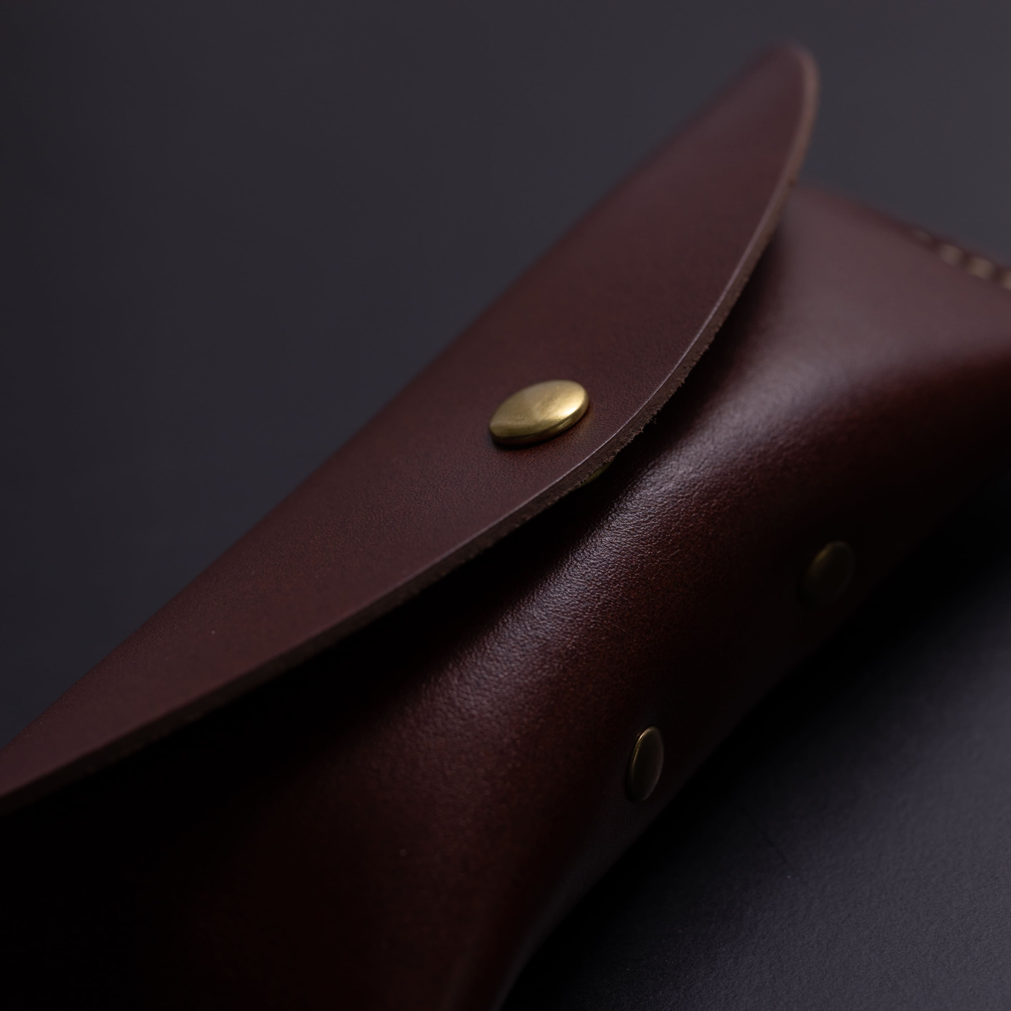 Sleek Refinement - Handcrafted Leather Eyewear Case