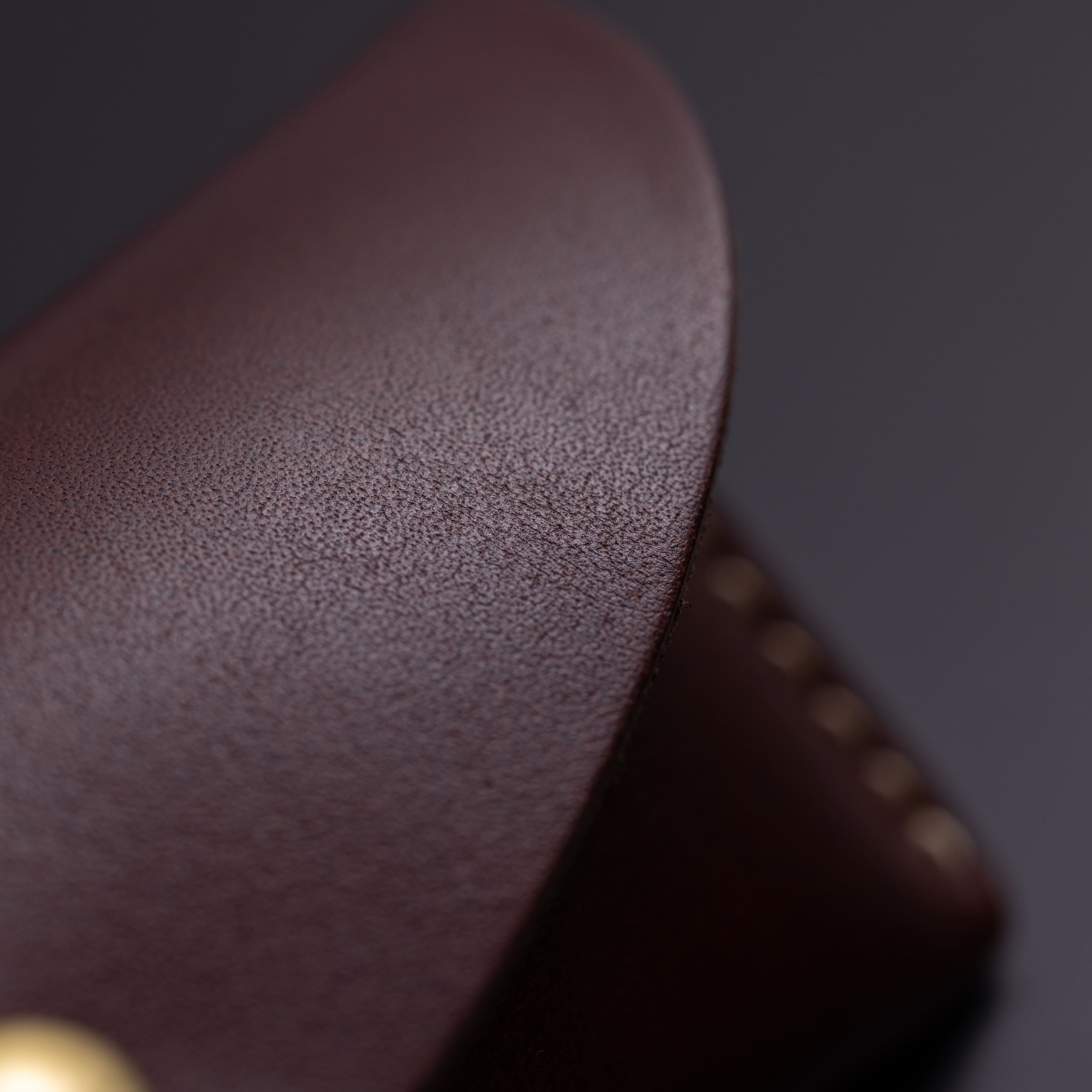 Sleek Refinement - Handcrafted Leather Eyewear Case